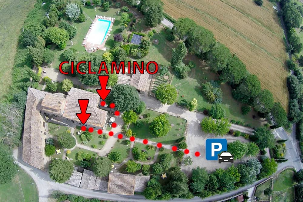 Location